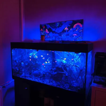 Lejlighed Wagner's Refuge 1