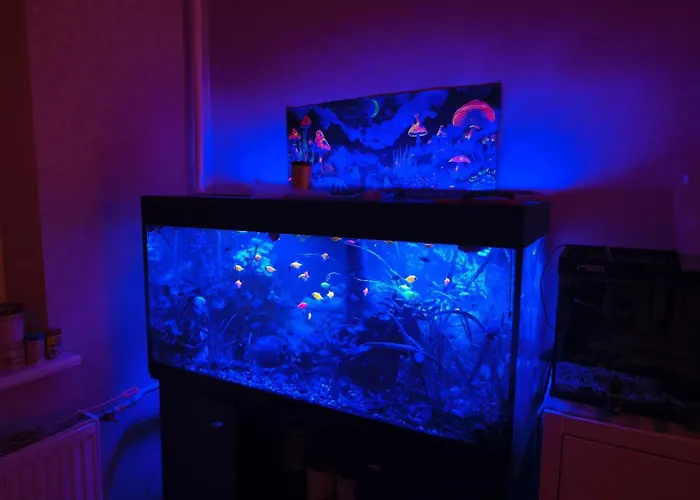 Dzīvoklis Wagner's Refuge 1